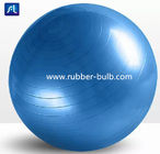 OEM पीवीसी सामग्री 600 ग्राम 75 सेमी योग बैलेंस बॉल फिटनेस बॉल एक्सरसाइज बॉल उपकरण