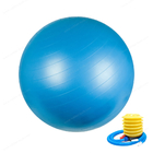 धमाका सबूत पीवीसी मालिश 65 सेमी 25.6 इंच योग बॉल पंप योग पिलेट्स बॉल योग फिटनेस बॉल के साथ: