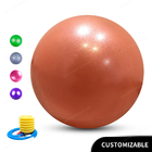स्वास्थ्य पिलेट्स स्थिरता शिक्षक 55cm योग बैलेंस बॉल के साथ पंप योग बैलेंस बॉल फिटनेस बॉल एक्सरसाइज बॉल