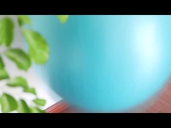 पीवीसी विस्फोट रोधी फिटनेस 45 सेमी योग बॉल एयर पंप व्यायाम बॉल व्यायाम उपकरण योग बॉल के साथ